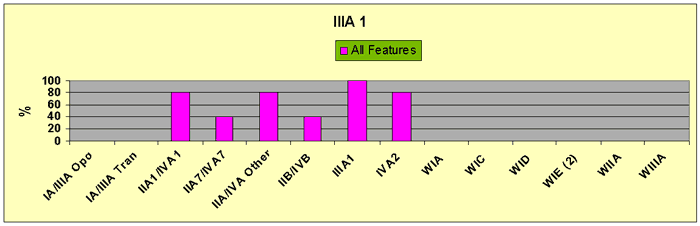 Figure 22 IIIA1 Minor Glass Bead Associations 