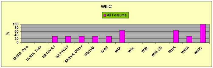 Figure 27 WIIIC Minor Glass Bead Feature Associations